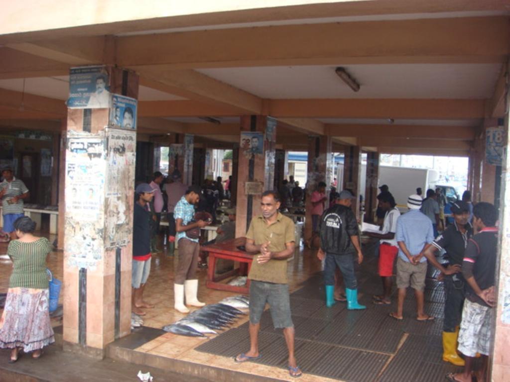 Randi Homestay In Negombo Exterior foto