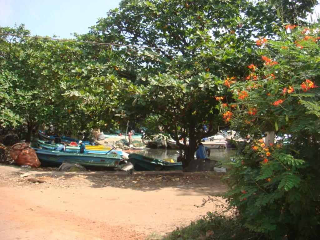 Randi Homestay In Negombo Exterior foto